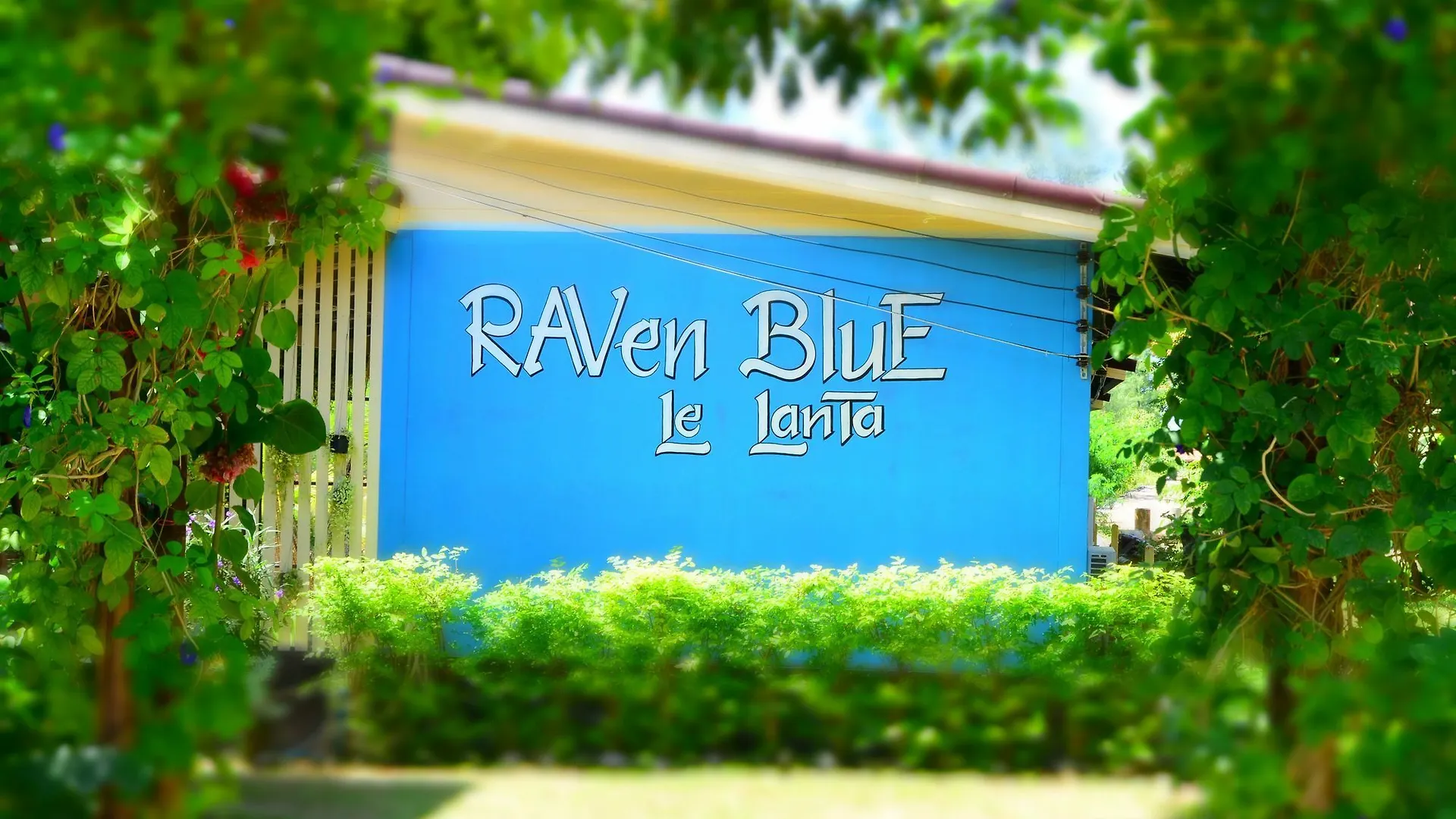 Raven Blue location